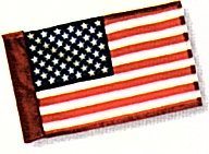 individual U.S. practice green flag